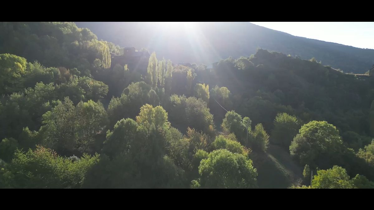 12_NATURA_86