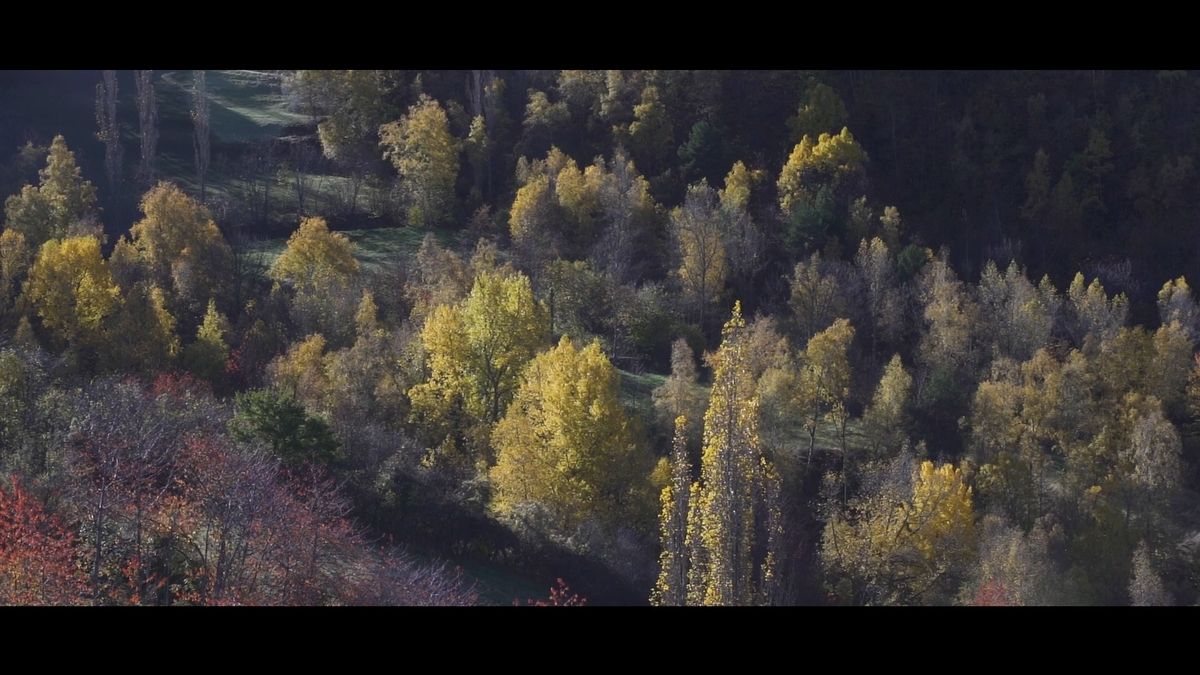 12_NATURA_87