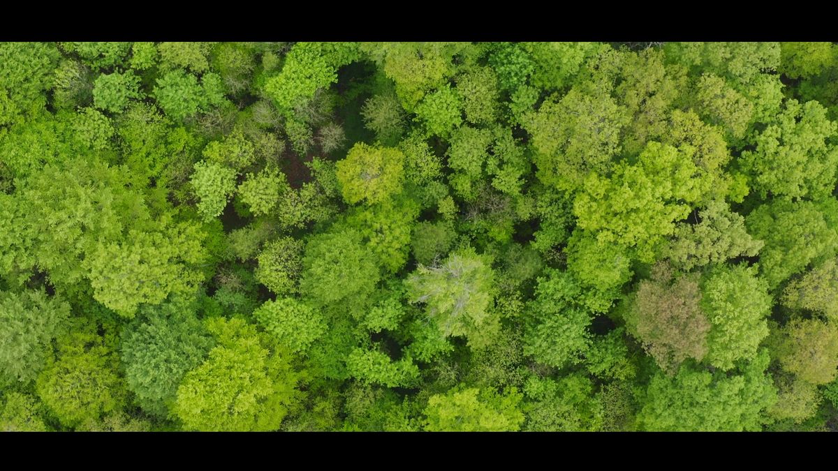 12_NATURA_96