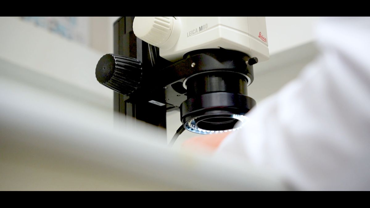 21_CIENCIA_25
