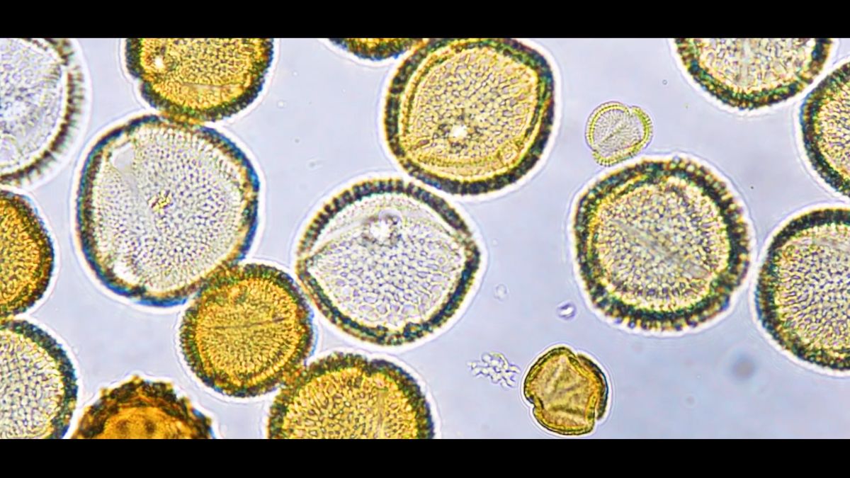 21_CIENCIA_31