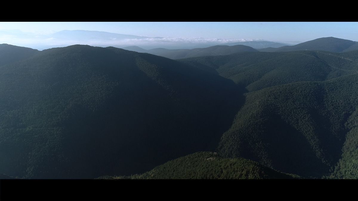 28_DRON_5