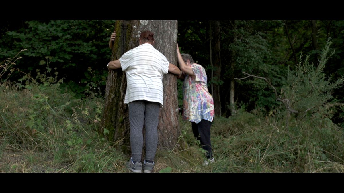 31_DOCUMENTAL_19